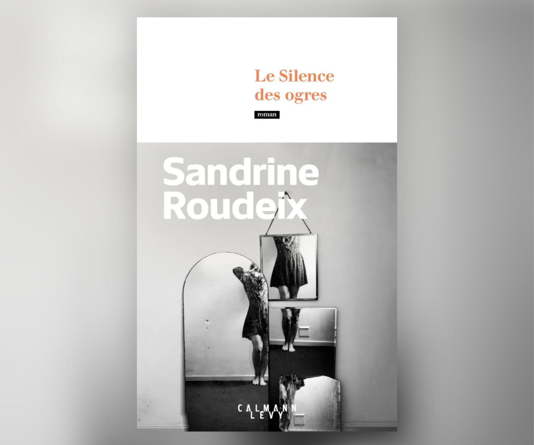 Sortie en librairies du roman « Le silence des Ogres » de Sandrine Roudeix￼